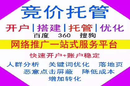 SEM服务助力电商行业案例解读